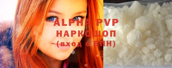молекула духа Вяземский