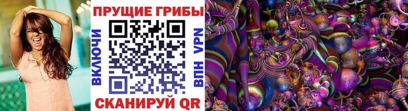 Купить  Полысаево  Псилоцибиновые грибы Psilocybine cubensis 